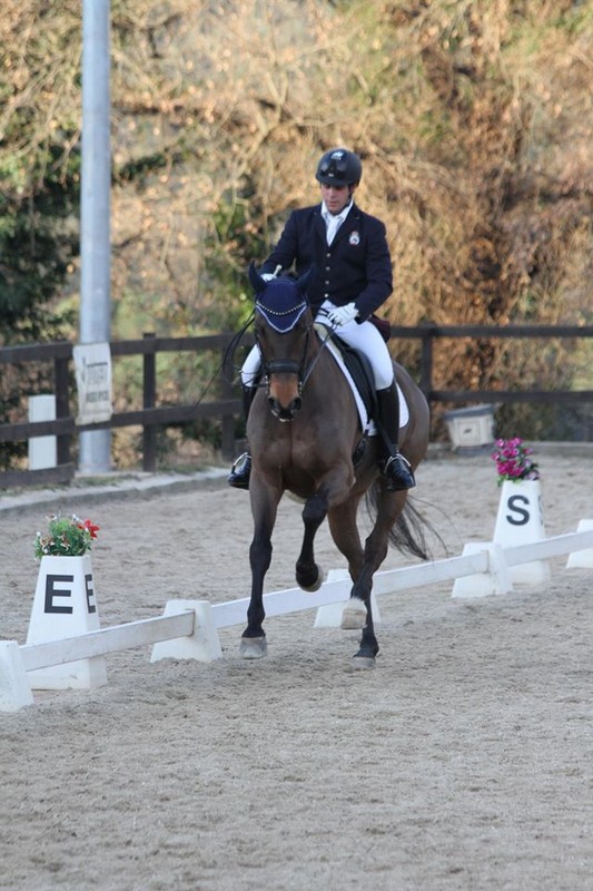 Tres Navarros, al Campeonato de Europa de Doma Cl&aacute;sica